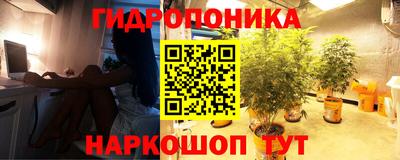 таблы Кимры