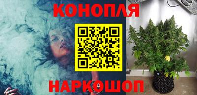 стафф Кинель