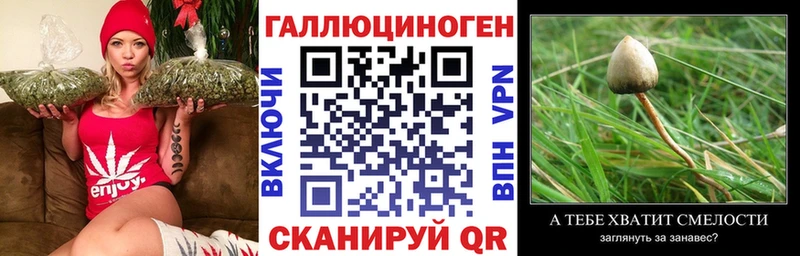 Псилоцибиновые грибы Cubensis blacksprut как зайти Партизанск продажа наркотиков
