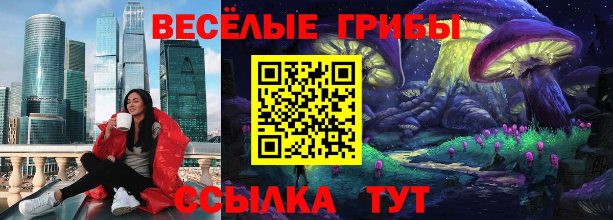 Галлюциногенные грибы GOLDEN TEACHER Партизанск