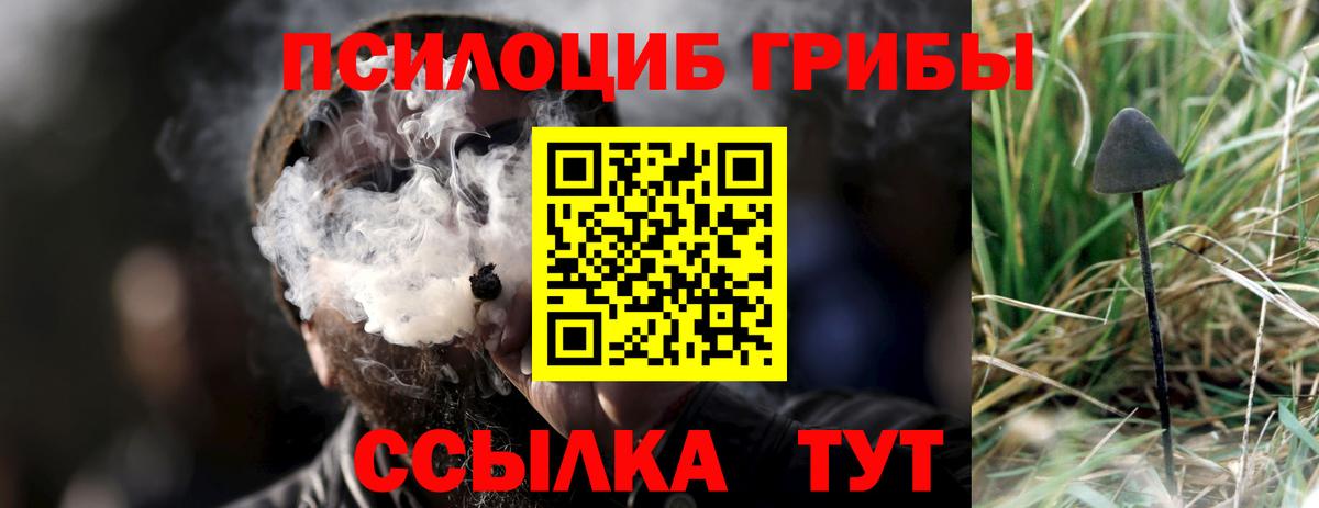 Псилоцибиновые грибы прущие грибы  Партизанск 